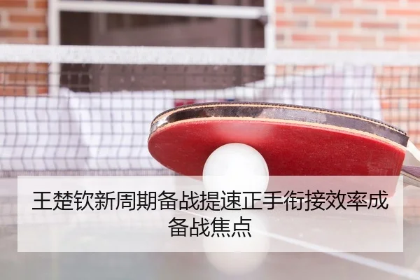 王楚钦新周期备战提速正手衔接效率成备战焦点